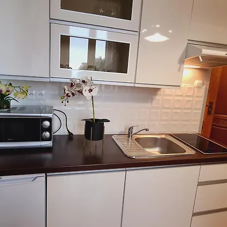 Apartament Nr 1 Z Balkonem, Apartament Nr 7 Z Tarasem, Wilcza Przy Szlaku Karpacz Eksteriør bilde